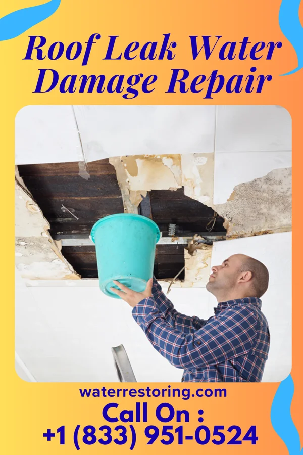 Roof Leak Water Damage Repair in Council Grove, KS
